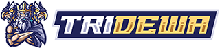 TRIDEWA 